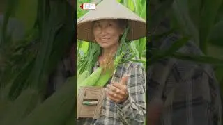 🎬 VIETNAM TELLS ITS STORY WITH EMOTIONS AT THE 19TH ITE HCMC 2025