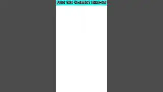 find the correct shadow #puzzle #challenge #riddles #maths #quiz