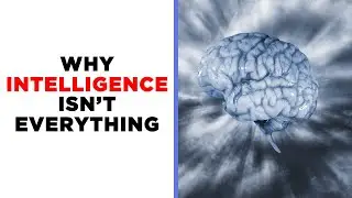 Smart People Are Dumb