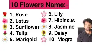 10 Beautiful Flowers Name in English and Hindi | Learn Flower Names Easily