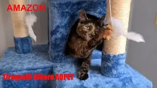 Tiragraffi Gatto  ad albero - AQPET - Amazon