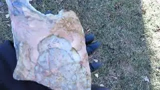 Morrisonite Jasper Collector