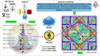 Meditaci&oacute;n y Sincronizaci&oacute;n Diaria - SYNCHRY - NS1.38.6.19 KIN 22 - (Dic-31-2025)