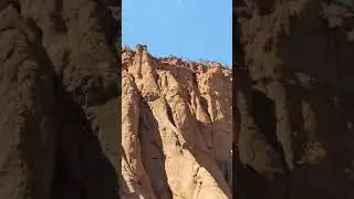 Pandora at Red Mountain