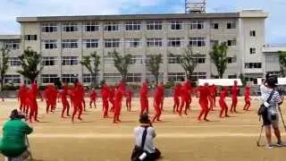 【体育祭】男子クラス ネタダンス