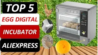 Топ-5 лучших цифровых инкубаторов для яиц 2026 года на AliExpress