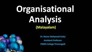 Organisational analysis