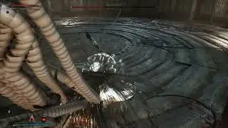 Bleak Faith: Forsaken - Plague Nemesis Boss Fight (No Commentary)
