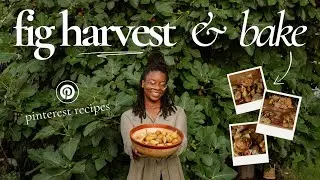 What I Made With My Freshly Harvested Figs (Pinterest Recipes Test)