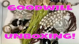 The Goodwill Box 5lb Mystery Jewelry UNBOXING! natural stones galore!