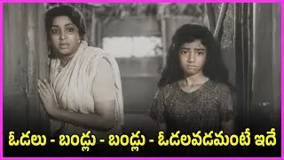 ఓడలు - బండ్లు - బండ్లు - ఓడలవడమంటే ఇదే | ANR, Sridevi, Jamuna Superhit Family Drama Scenes