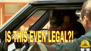 Hilarious Dog Driving Car Prank! 🐶🚗 | Just for Laughs Gags