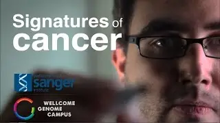 Signatures of cancer - Sanger Institute