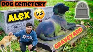 Honoring My Beloved Dog : A Touching Visit to the Grave 🪦😭 | Alex I Miss You 😢