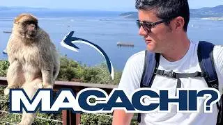 GIBILTERRA TRA SCIMMIE E BREXIT 🐒 Cosa vedere e da sapere