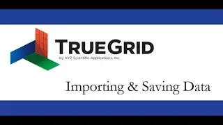 Importing and Saving Data in TrueGrid