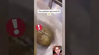 Potato talkies