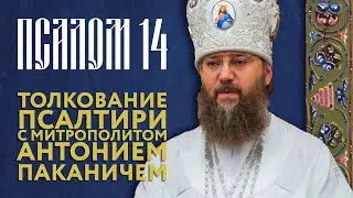 Толкование Псалтири. Псалом 14.
