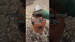 Planting Strawberries and Creating a Watering System