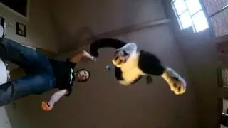Flying Drako