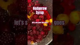 Free Cold Remedies #free #syrup #cold #love #gardening #garden #hedgerow #tasty#drink #winter#autumn