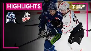 Straubing Tigers - N&uuml;rnberg Ice Tigers | PENNY DEL | MAGENTA SPORT
