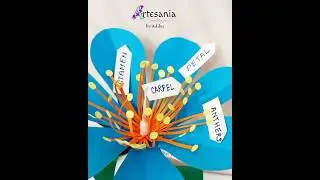 3D model of parts of flower #diy #easy #viralshort #project #flower #realistic #school #craft #fyp