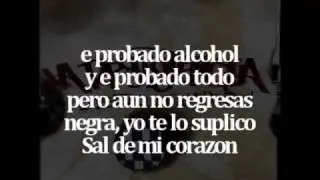 La Resistencia - No Puedo Olvidarte (Spanish SKA)(Lyrics)