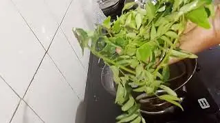 After long time||My simple day routine|| My babies atrocities||@chitrashome18