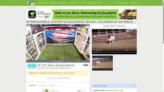 INTERNASIONALE DORPER EN WITDORPER VEILING, GESAMENTLIK INTERNASIONALE MEATMASTER & NASIONALE VAN...