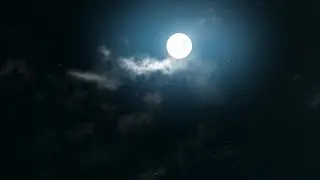 Gentle Sleep Music | Relaxing Instrumental Sounds for Deep Sleep | Rest and Meditation