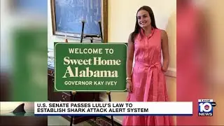 Increase in shark attacks leads to action in U.S. Senate