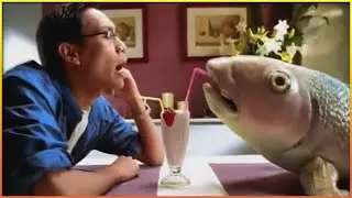 Funniest Fish Commercials 🐟