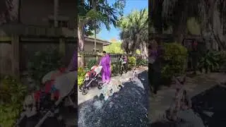 Halloween Parade at Tender Care PPEC in Fort Lauderdale.