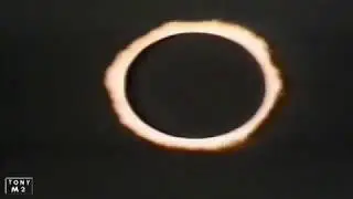Bizarr VHS-Video tape from the 80`s