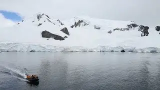 Whale-Watching in Antarctica | Travel + Leisure #TLMoment