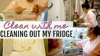 DEEP CLEAN YOUR REFRIGERATOR | HOW I ORGANIZE MY FRIDGE | CLEANING MOTIVATION