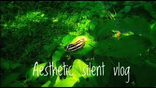 ☘️Aesthetic Silent Nature Vlog🌸Aloe vera Gardening | Animals, Flowers, Worms