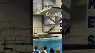 3 1/2 on 1 meter 😱 #diving #shorts #flip
