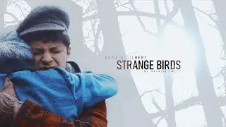 Anne & Gilbert | Strange Birds [3x08]