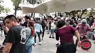 L.C.D 