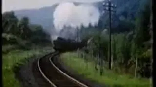 Steam to Cinderford