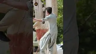 Old Man Climbing Tree Prank Watch Till End