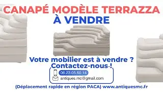Canap&eacute; mod&egrave;le Terrazza &agrave; vendre