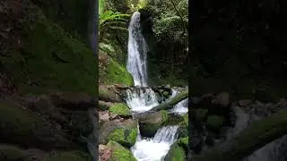 Curug Lumut Ciwidey: Air Terjun Berjubah Hijau yang Seakan Keluar dari Dunia Dongeng