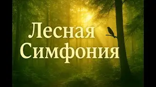 Nature's Symphony  A Forest Journey  | Симфония Природы  Лесное Путешествие #music #музыка #song