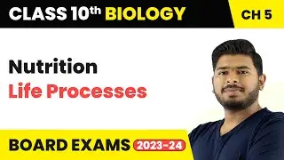 Nutrition - Life Processes | Class 10 Science Chapter 5