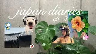 japan diaries ep. 2 ⋆✴︎˚｡⋆ (cat temple, hand rolls, costco)