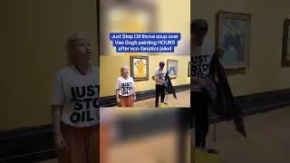 Just Stop Oil throw soup over Van Gogh painting HOURS after eco-fanatics jailed