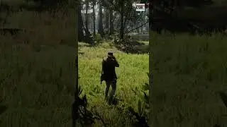 Roseate Spoonbill Location! #spoonbill #roseatespoonbill #algernonwasp #cydo9515 #reddeadcommunity
